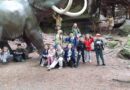 Wycieczka do Dino Parku